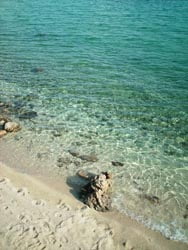 Croazia - Isola di Rab - Spiaggia Pudarica © P.L. Paolini